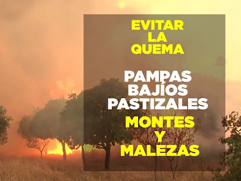 Evitemos los incendios forestales