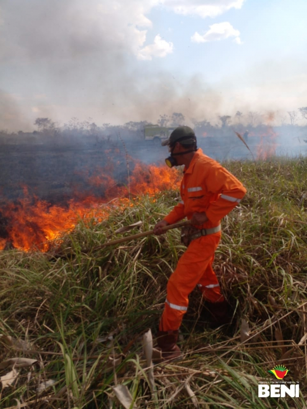 COED BENI LUCHA CONTRA INCENDIOS PROVOCADOS QUE DAÑAN EL MEDIO AMBIENTE Y LA FAUNA